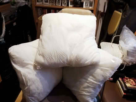 Photo of free 4 x Cushion Inner Pads (Vale LA1) #1