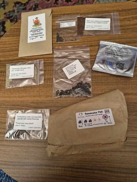 Photo of free Garden Seeds and Corms (Fiveways Brighton) #1