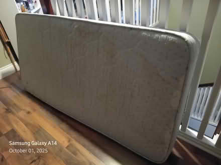 Photo of free Single Matress (rostellan) #1