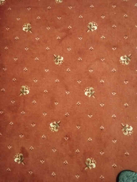 Photo of free Lounge dinning room carpet. (Old Polmont FK2) #1