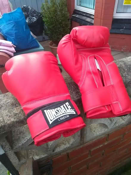 Photo of free Lonsdale boxing gloves (Wallasey CH44) #1