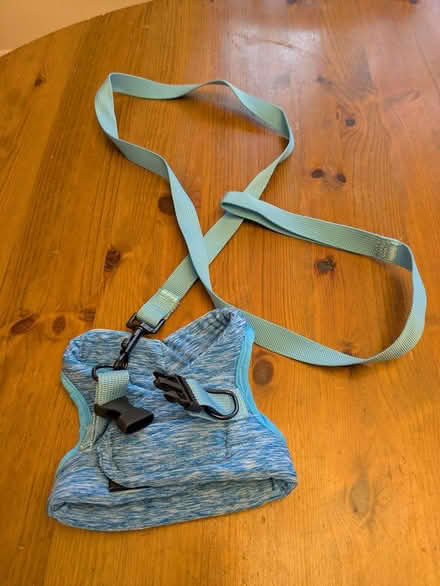 Photo of free Cat harness (Chesham Bois HP6) #1