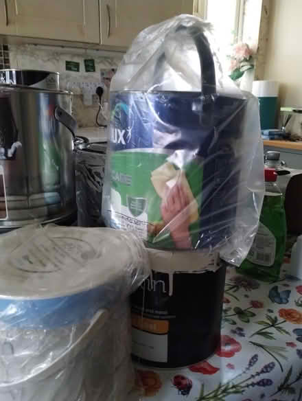 Photo of free Assortment of household paint (Speedwell Bristol) #2