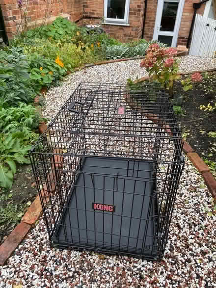 Photo of free KONG dog crate medium - 78cm long by 55cm. 62cm high. (Kilburn DE56) #1