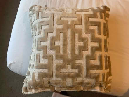 Photo of free cushions (Latchford WA4) #1