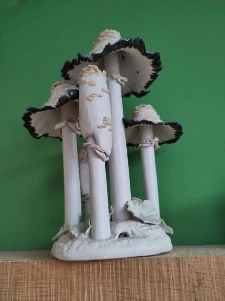Photo of free Handmade ceramic fungi (Shirehampton BS11) #2