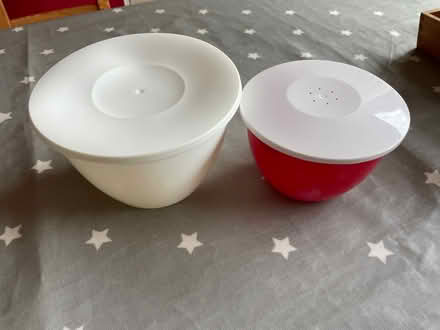 Photo of free 2 x plastic pudding basins (Wallands Park BN7) #1