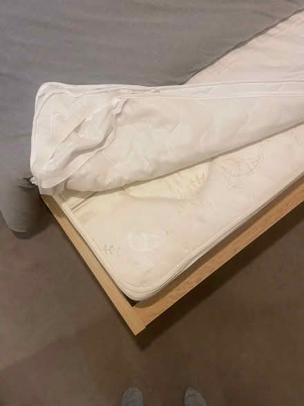 Photo of free Bed (Canonbury N1) #3