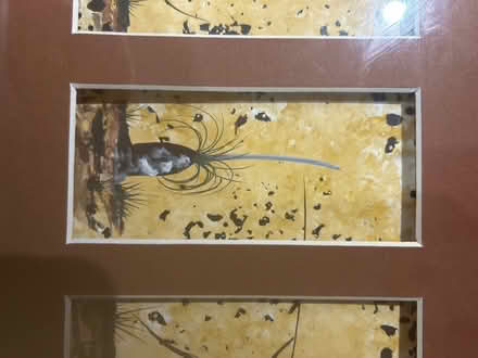 Photo of free Original aboriginal picture (Weymouth DT4) #2