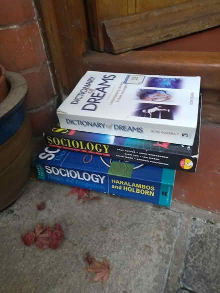 Photo of free 2 Sociology/dream books (Wallasey CH44) #1