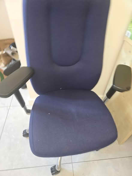 Photo of free Office chair (Dewsbury WF12) #1
