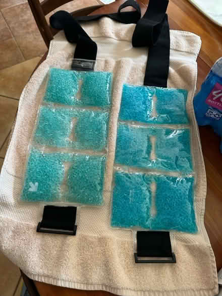 Photo of free Ice packs: re-freeze-able w/Velcro (Falls Church City) #1