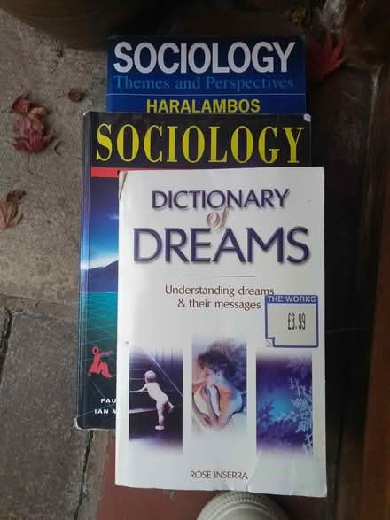 Photo of free 2 Sociology/dream books (Wallasey CH44) #2