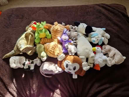Photo of free Plushies (Roslin EH25) #1