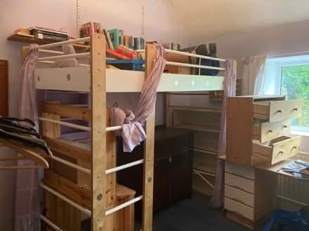 Photo of free Cabin bed with room underneath for a desk (Aigburth L17) #1