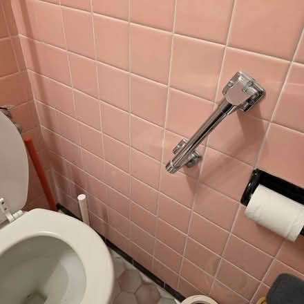 Photo of free Stand Up Bar for elderly/ injured (Bay Ridge) #1