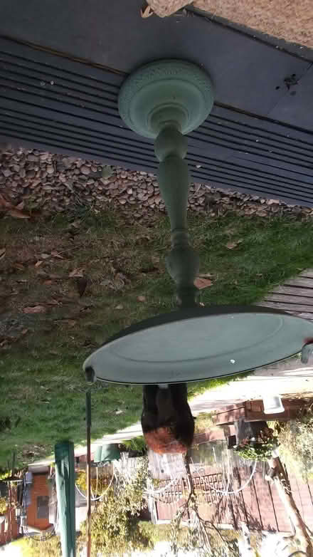 Photo of free Birdbath (Bournes Green SS2) #3