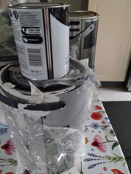 Photo of free Assortment of household paint (Speedwell Bristol) #3