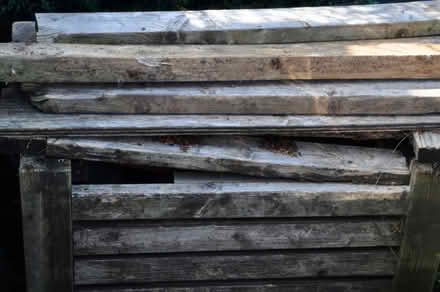 Photo of free Wood For Burning (TN31) #3