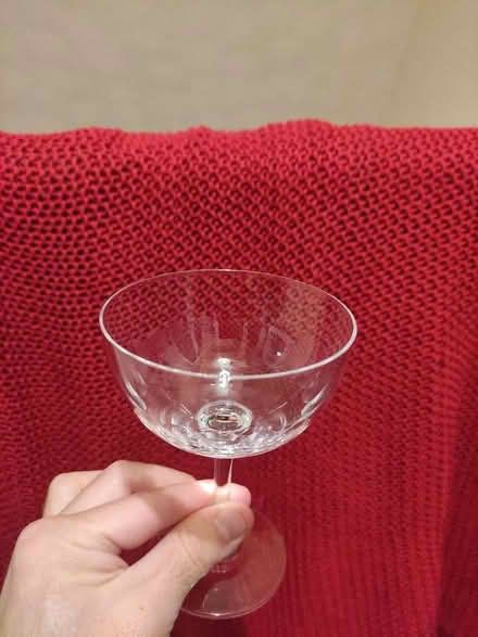 Photo of free Champagne coupe (Stroud Green N4) #1