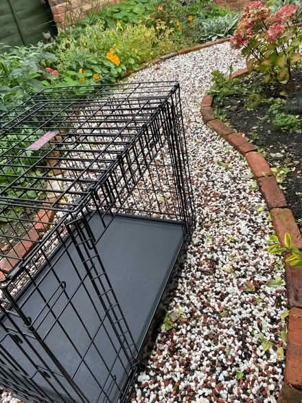 Photo of free KONG dog crate medium - 78cm long by 55cm. 62cm high. (Kilburn DE56) #2