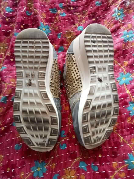 Photo of free Glam ladies comfy Trainers size UK 6 (Tollesbury CM9) #2