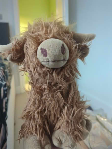 Photo of free Highlander cow plushie (Fulham Palace Rd W6) #1