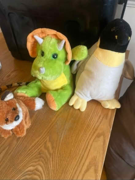 Photo of free Soft Toys (Cheshunt En8) #3