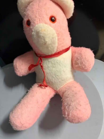 Photo of free Teddy Bear (Westbury BA13) #1