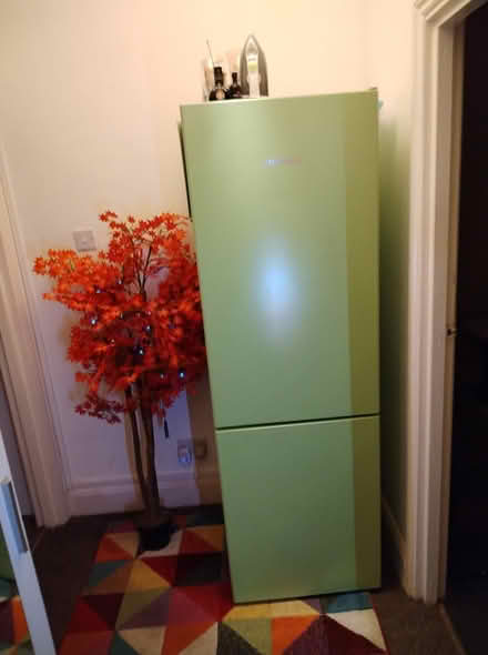 Photo of free Fridge Freezer (turnpike lane N8) #1