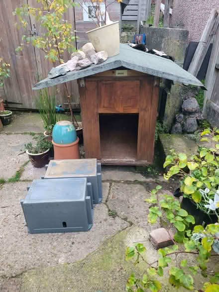 Photo of free Solid Dog house with tarred felt roof (West End LA3) #1