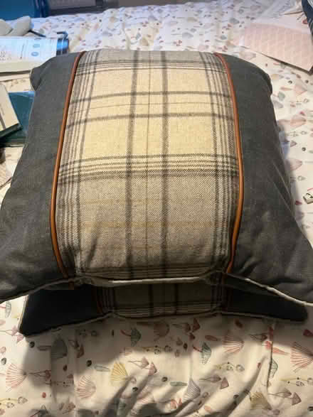Photo of free 2x lovely grey and tartan pillows (Catcliffe S60) #3