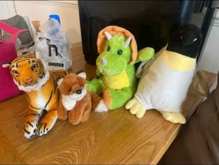 Photo of free Soft Toys (Cheshunt En8) #1