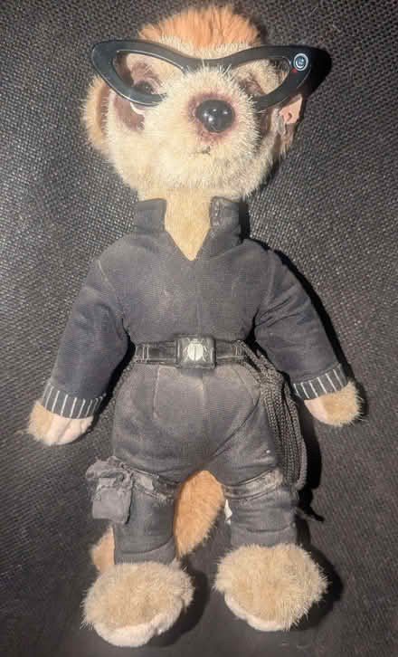 Photo of free Official Meerkat Soft Toy with Glasses (Clive Vale TN35) #1