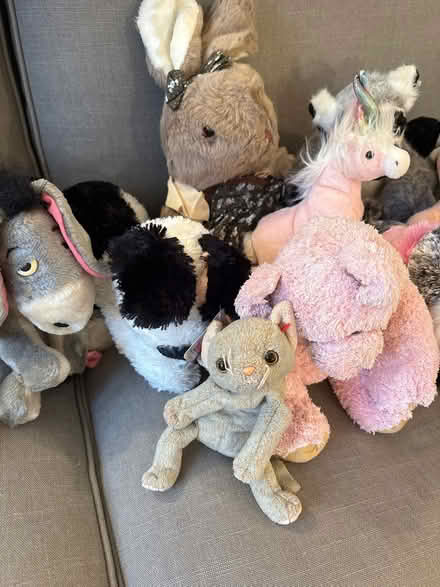 Photo of free Various soft toys (Boxmoor, Hemel Hempstead) #1