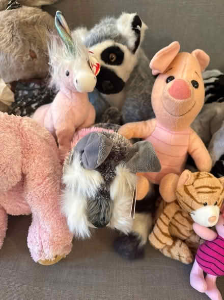 Photo of free Various soft toys (Boxmoor, Hemel Hempstead) #3