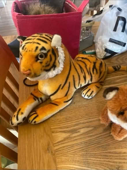 Photo of free Soft Toys (Cheshunt En8) #2