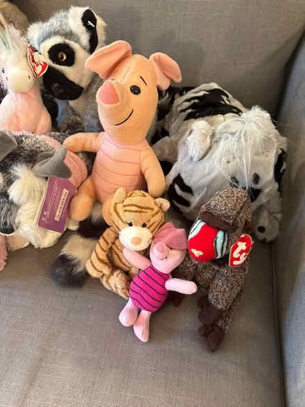 Photo of free Various soft toys (Boxmoor, Hemel Hempstead) #2