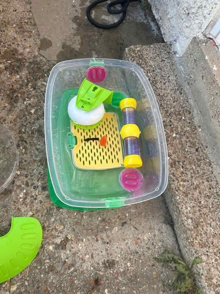 Photo of free Cages (Dagenham RM9) #2
