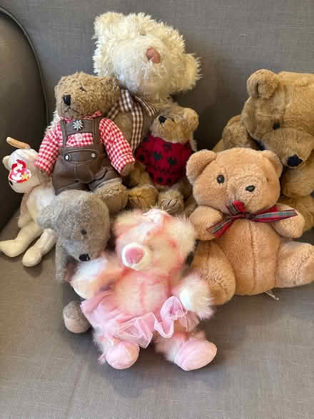 Photo of free Teddies (Boxmoor, Hemel Hempstead) #1