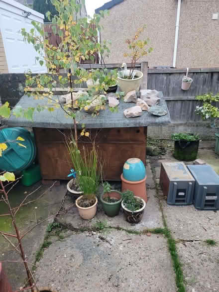 Photo of free Solid Dog house with tarred felt roof (West End LA3) #2