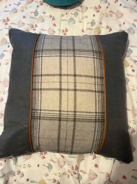 Photo of free 2x lovely grey and tartan pillows (Catcliffe S60) #1