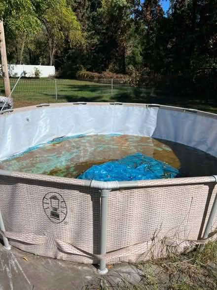 Photo of free Pool (Blaine) #2