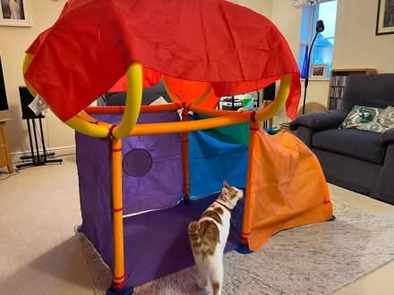 Photo of free Cranium Super Fort (Crooks Farm BD17) #1