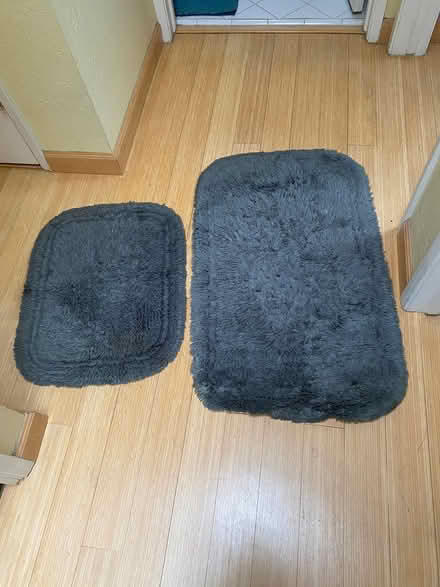 Photo of free Two green bathroom rugs (Canyon Village in Fairfax) #1