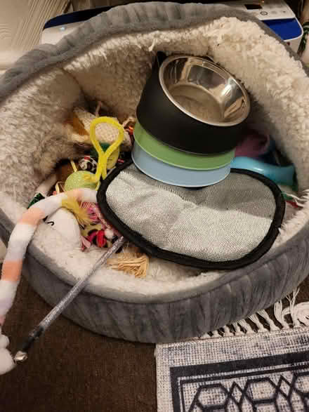 Photo of free Cat items (Leicester LE2) #1