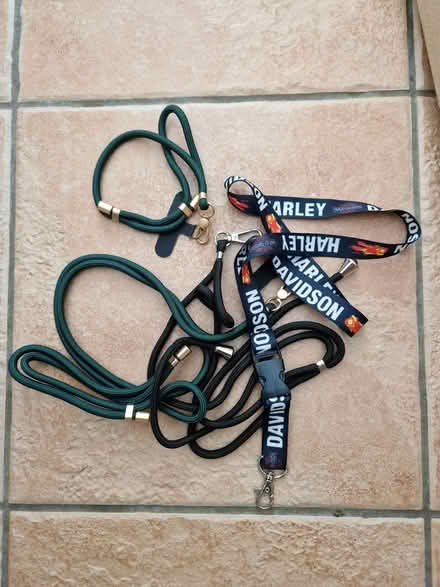 Photo of free Lanyards (Roslin EH25) #1