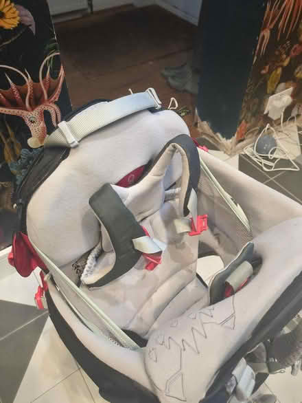 Photo of free Osprey child carrier (West Wickham BR4) #4