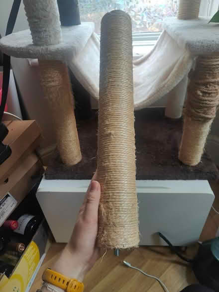 Photo of free Well used cat tree (NW2 2AU) #4