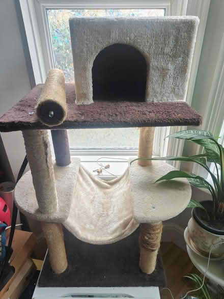 Photo of free Well used cat tree (NW2 2AU) #2